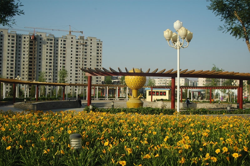 白银市文化广场