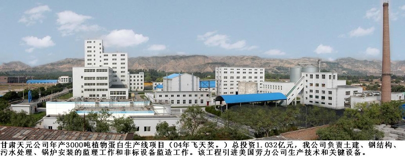甘肃天元植物蛋白年产3000t生产线工程厂区（04年飞天奖）