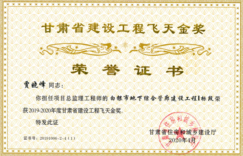 飞天奖贾晓峰.png